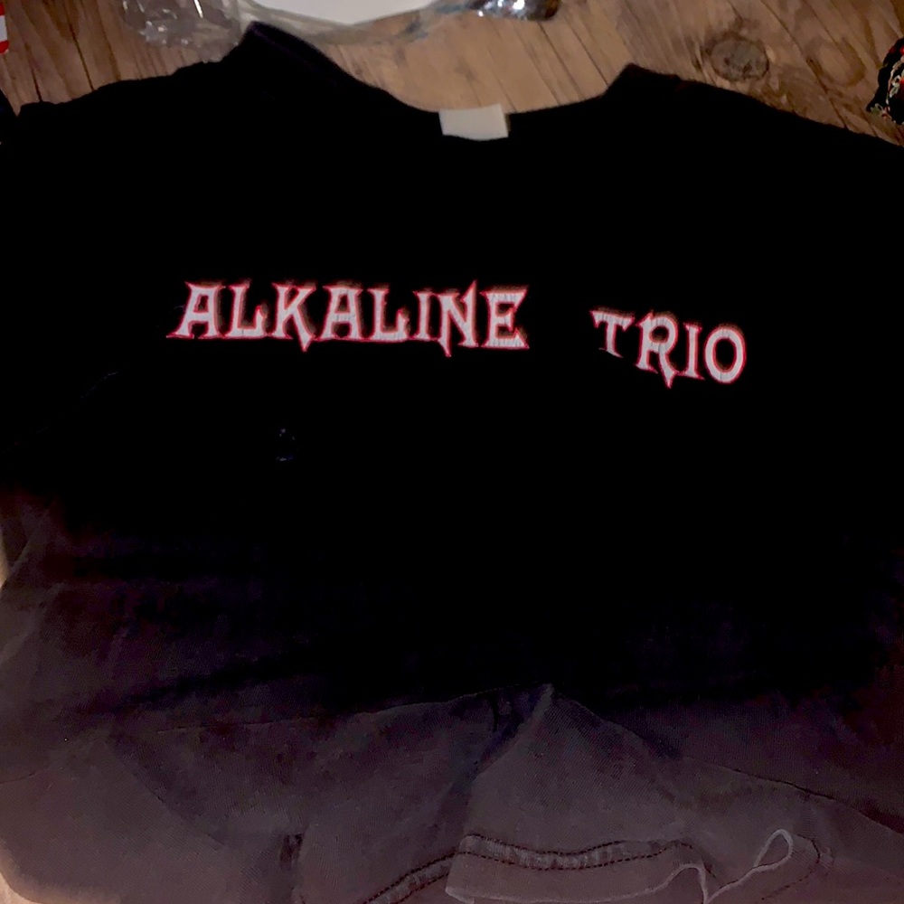 Alkaline Trio Youth Lg